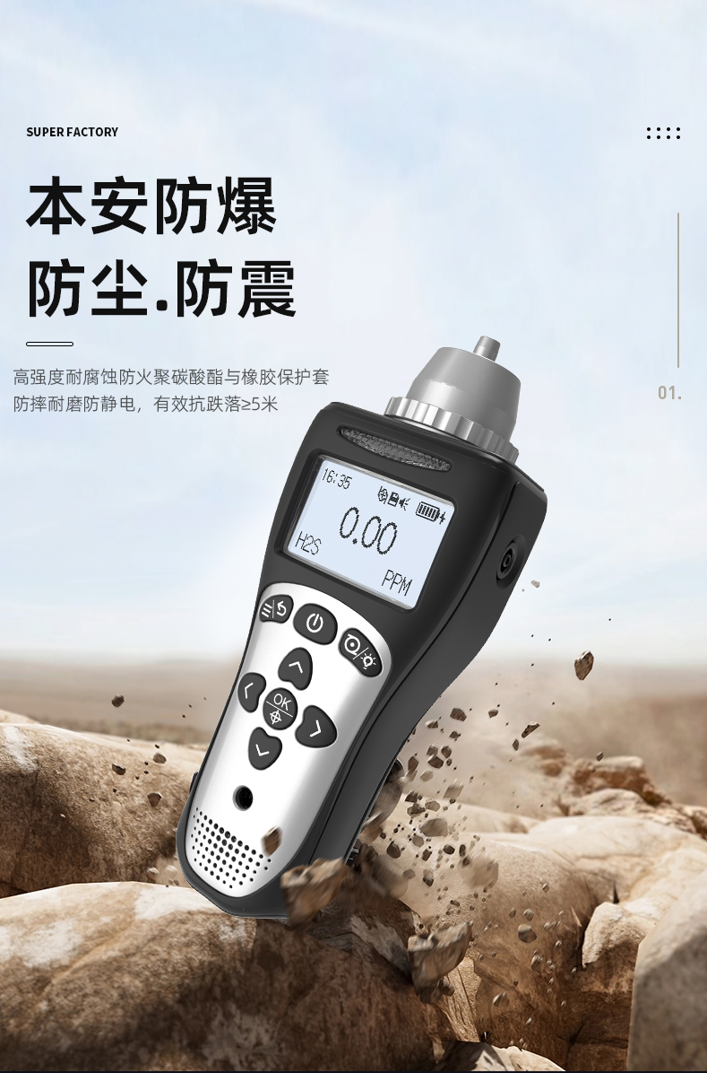 MS104K-L便攜式氣體檢測儀