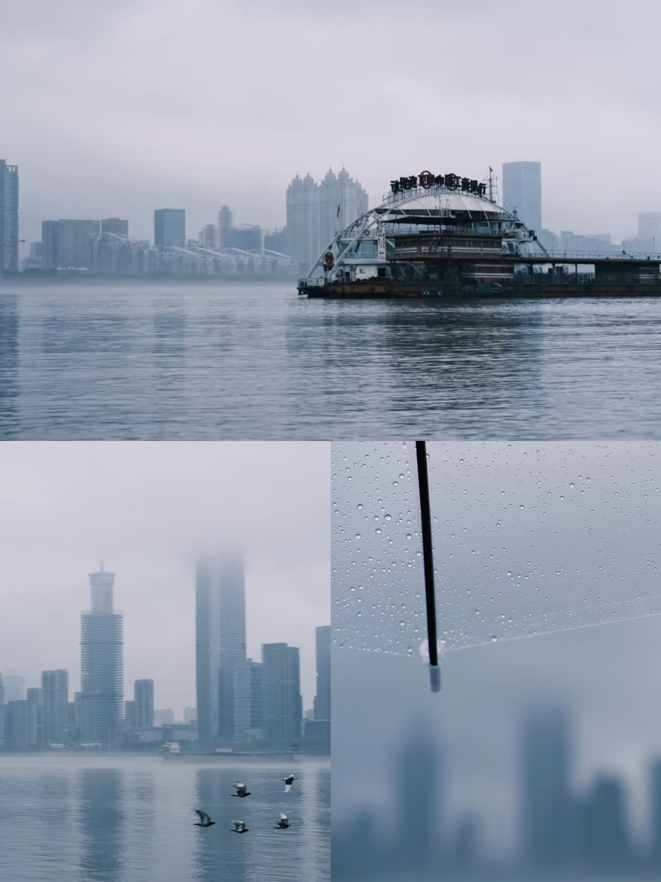 逸云天武漢辦事處：江灘踏春徒步，凝聚團隊力量