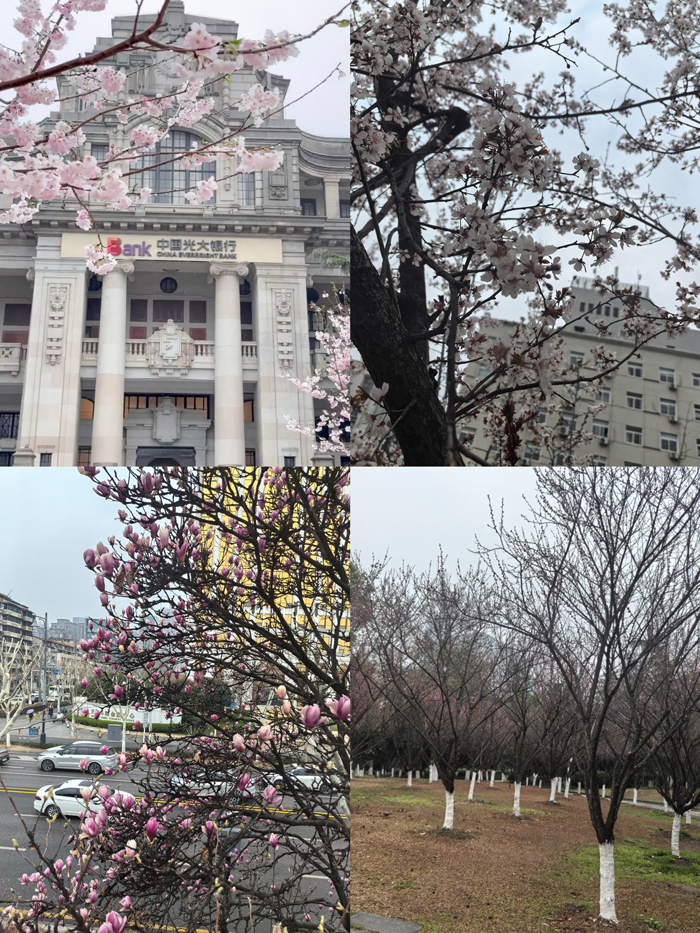 尋找春天的足跡